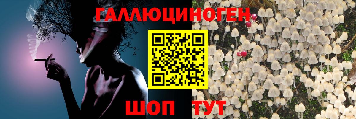 Реж  Галлюциногенные грибы прущие грибы  Вход с VPN 