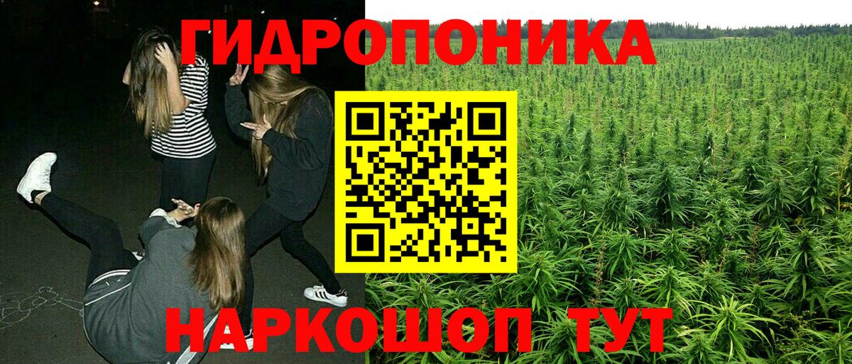 Бошки Шишки LSD WEED Реж